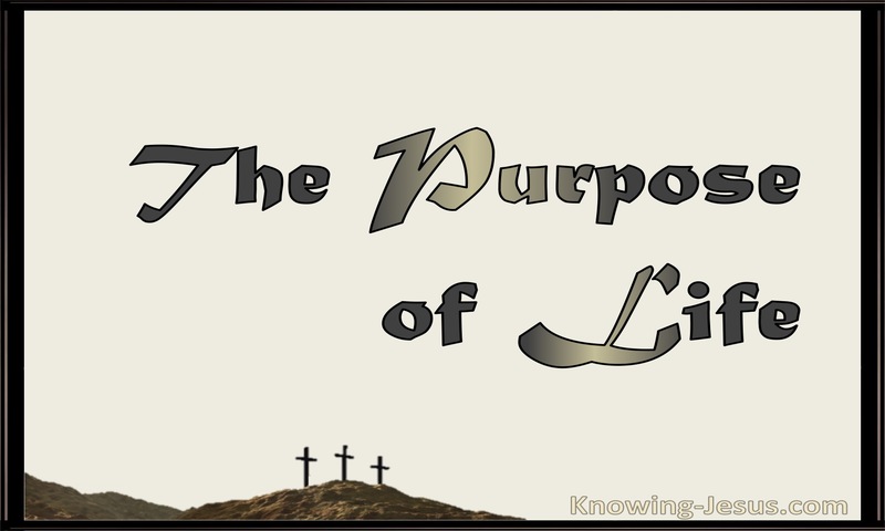 The Purpose Of Life (devotional)03-31 (beige)